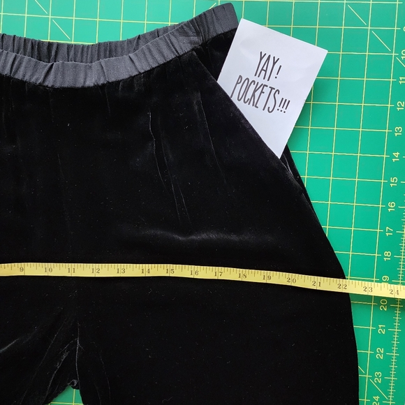 EILEEN FISHER Velvet Pants - Picture 9 of 11